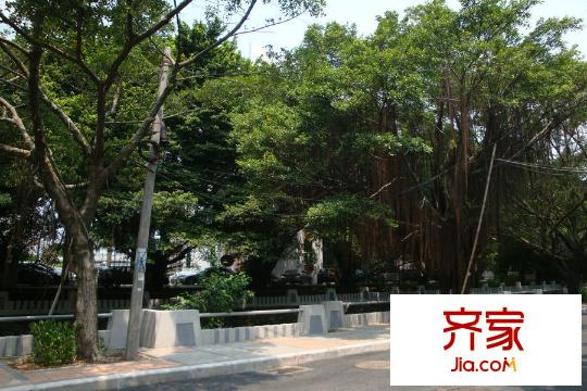 富力・壹平方米半岛项目(2015.8.5)