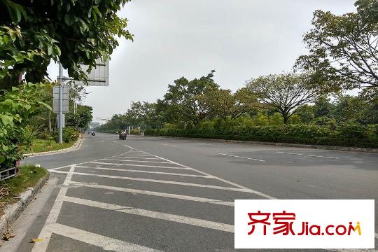 尚东嘉御离项目约400米的公路