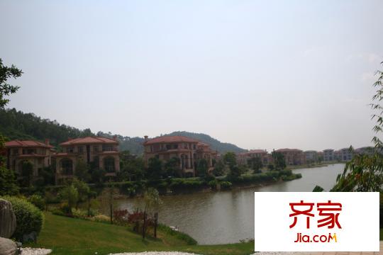 碧桂園?輕軌悅城（2015-03）