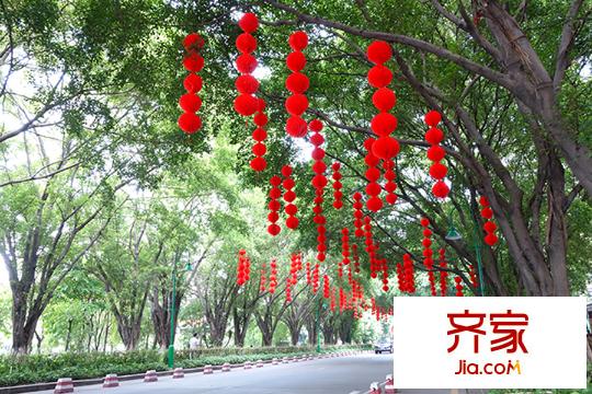 丽江如英居小区内绿荫大道(2015-9)