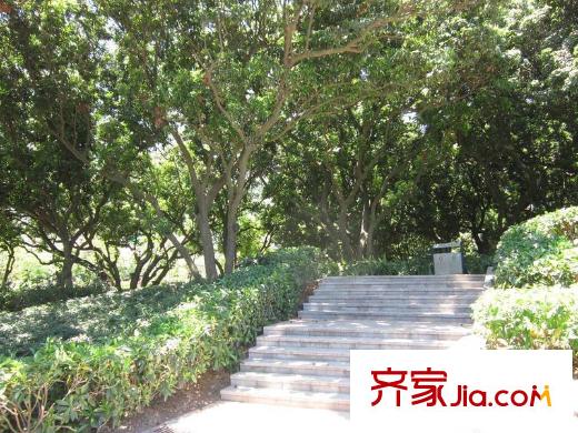 佳兆业・前海广场附近小南山