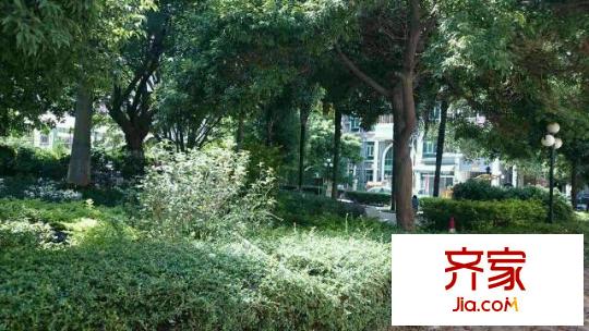 宝雅花园外景图
