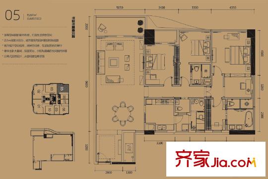 中洲・中央公寓E-CLASS05户型207平户型图 5室2厅4卫