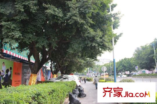 奥宸・观壹城周边道路