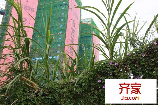 奥宸・观壹城楼栋(2015-11-6)