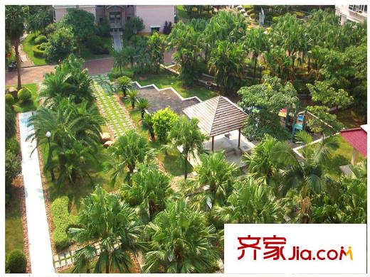 龙光水悦熙园西区小学