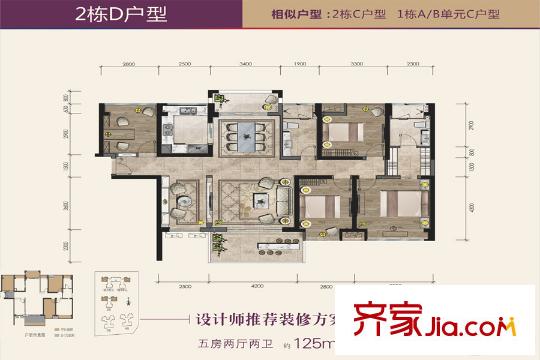 壹锦园2栋D户型 5室2厅2卫1厨