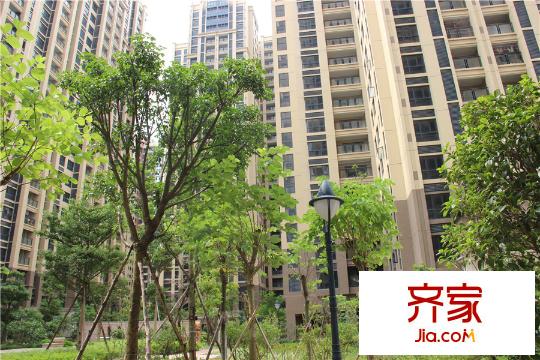 旺东国际广场园林2015-8-10
