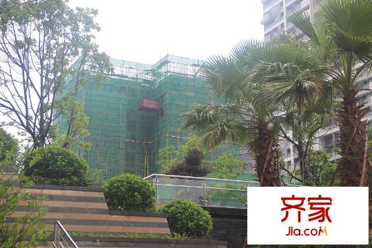 芝麻街小区园林(2015-5-25)