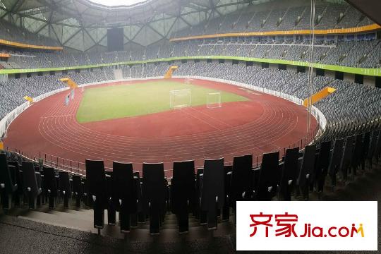 颐安・都会中央2期周边的大运体育场