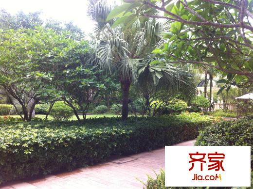 深圳珠江・四季悦城一期南区园林(2014-6)