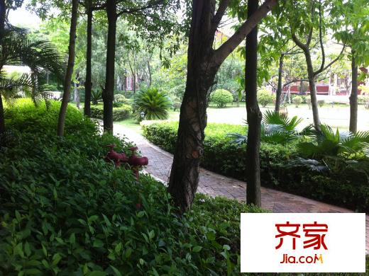深圳珠江・四季悦城一期南区园林(2014-5)