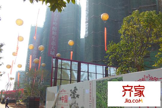 宇宏健康花城工程进度(2015.1.14)