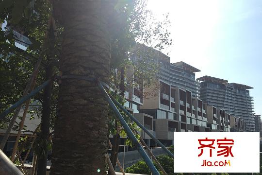 汉京九榕台小区(2015-6-30)