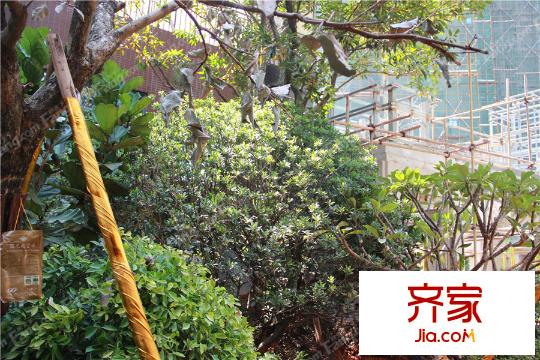 恒地悦山湖园林(2015-10-21)