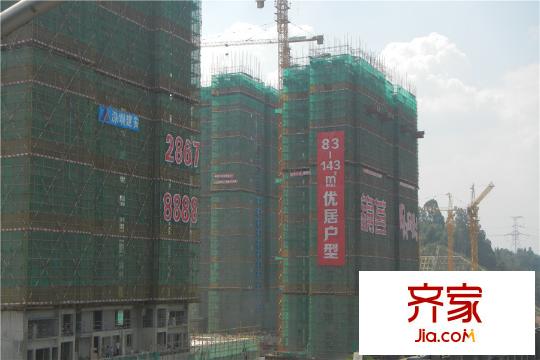 锦荟PARK楼栋(2015-10-28)