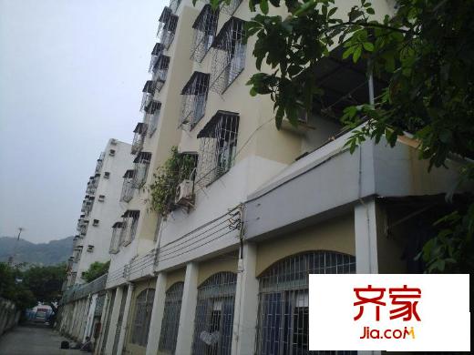 锦绣花园(宝安)外景图小区相关图_2