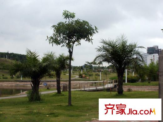 和黄懿花园配套图中心公园风景优美