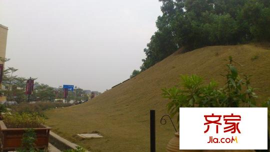 和黄懿花园外景图