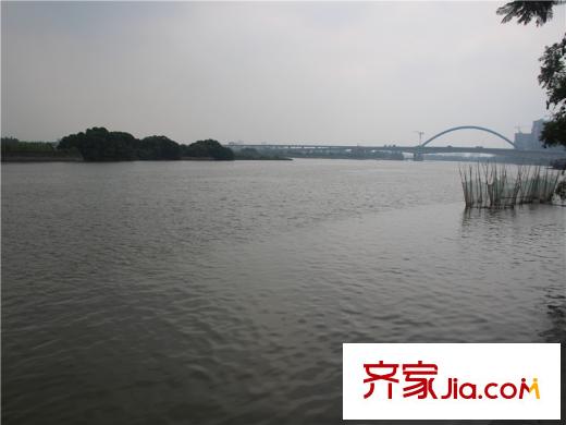 金地城南艺境离项目约200m的白鹭湖景观