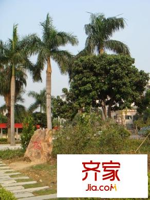 天欣花园三期外景图