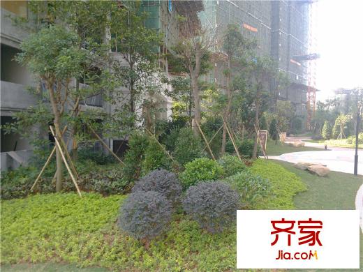 东逸湾花园小区园林(2013-12-26)