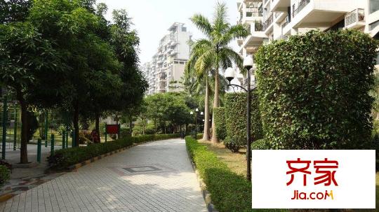 香林玫瑰园外景图