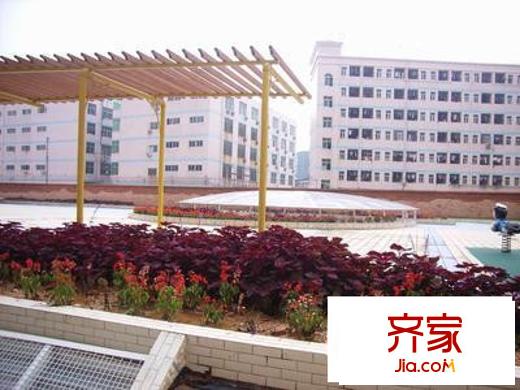 新城市花园外景图深圳 4