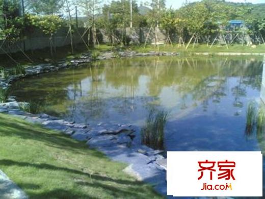 新城市花园外景图深圳 6