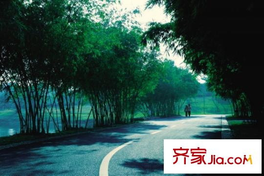 万科金域松湖配套图北向1000米的松山湖大道