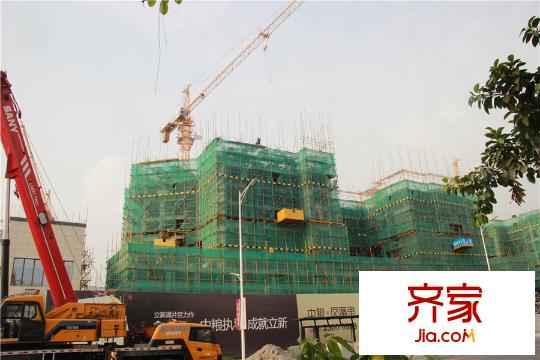 中粮凤凰里楼栋(2015-11-2)