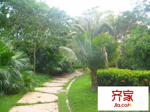 金海丽名居外景图小区相关图_3