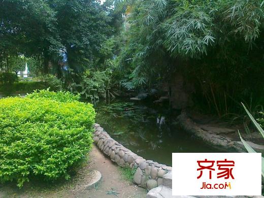 星光之约外景图