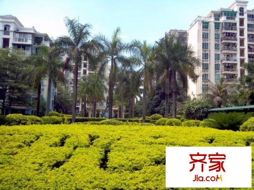 星光之约外景图
