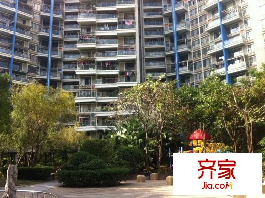 春树里外景图