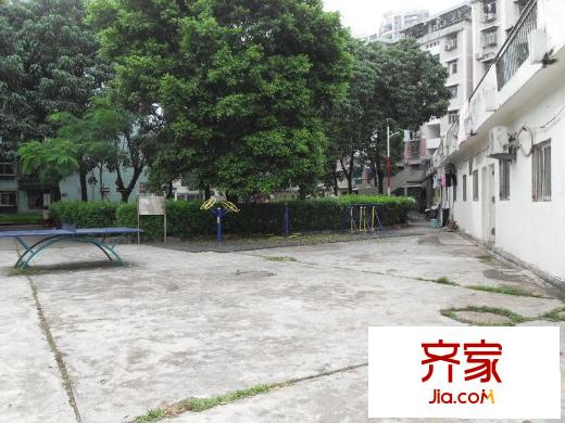 园岭花园外景图小区相关图_7