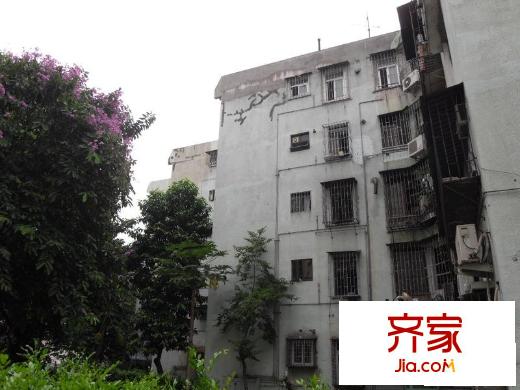 园岭花园外景图小区相关图_5