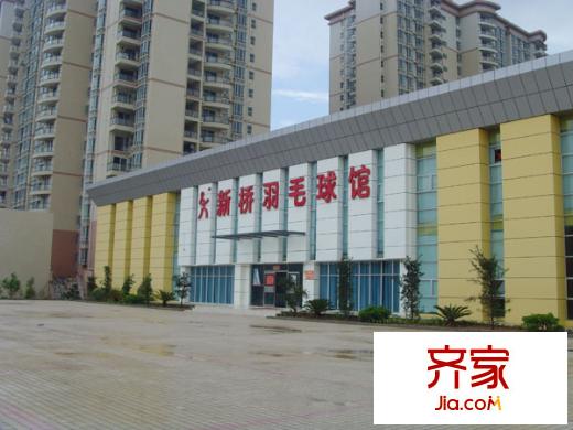 新桥统建楼外景图4