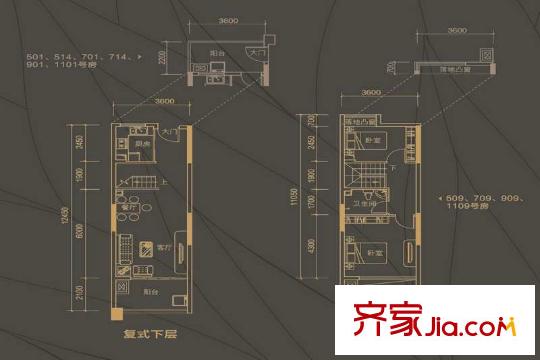 彩天怡色户型图A栋两房复式户型图 2室2厅1卫1厨