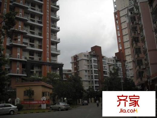 花半里(龙岗)外景图