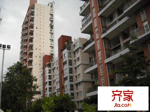 花半里(龙岗)外景图