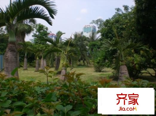 城市绿洲花园外景图15