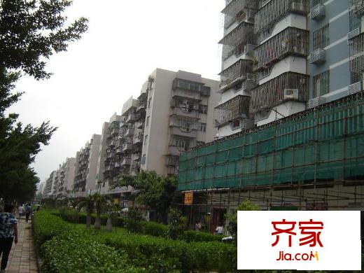 73区商住楼外景图深圳 宝安