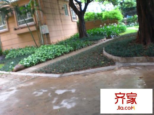 福田天健花园外景图小区相关图_3