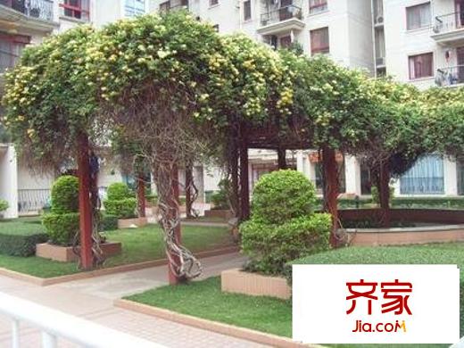 福田天健花园外景图小区园景