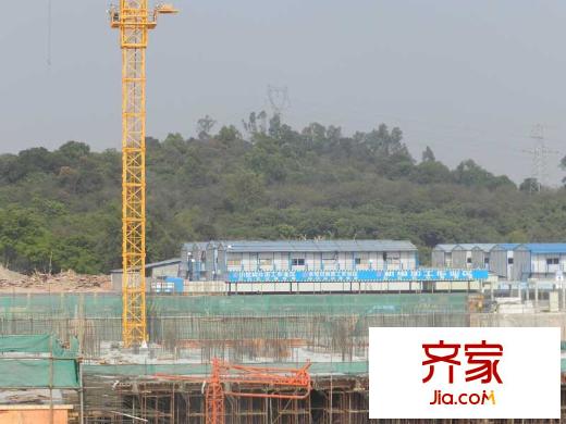 中骏四季阳光工地宿舍(2013-01-29)