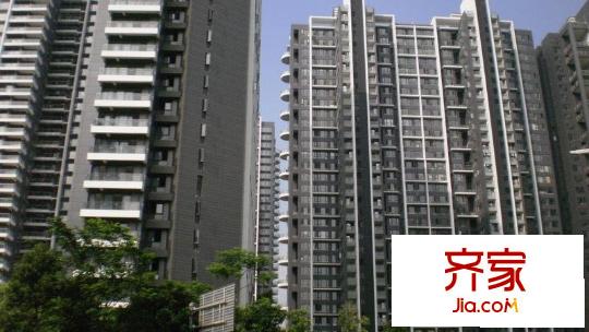 中信红树湾四期外景图深圳