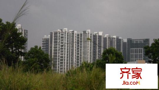 中信红树湾四期外景图深圳