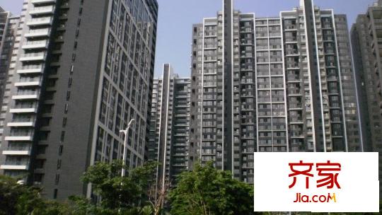 中信红树湾四期外景图深圳