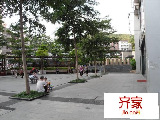 珠光花半里外景图1249023943817_000